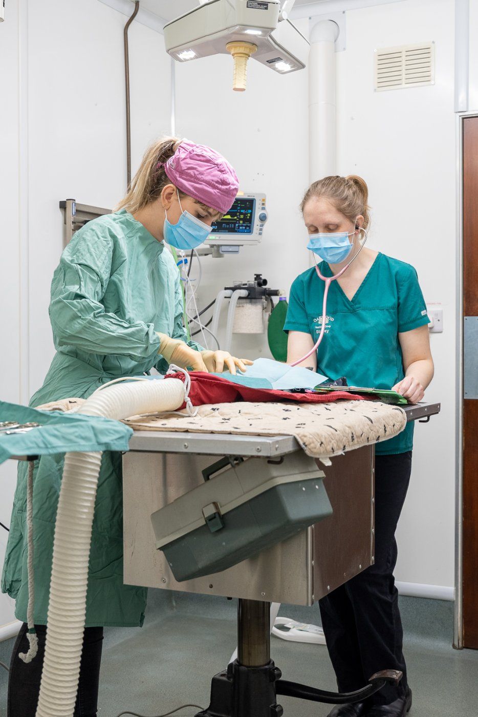 OakWood Vets