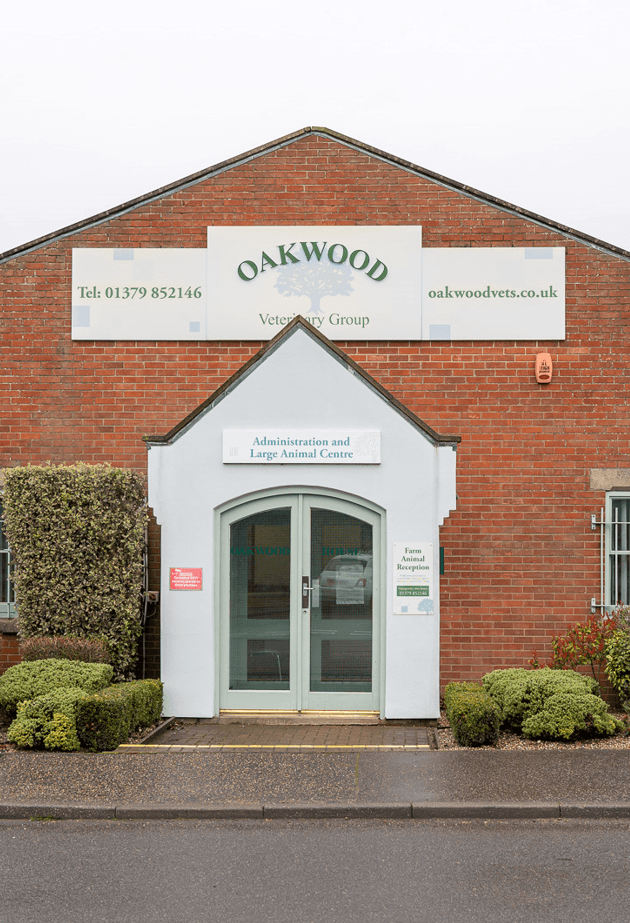 OakWood Vets